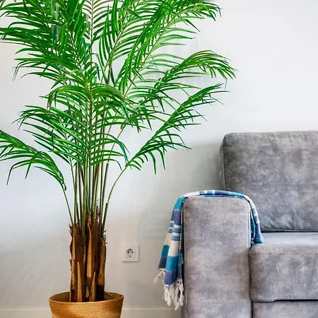 アパート Kasino Ii 3ºi *